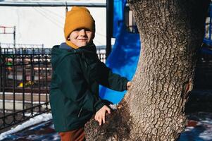 small child kid boy plays and climbs a tree on playground in autumn photo