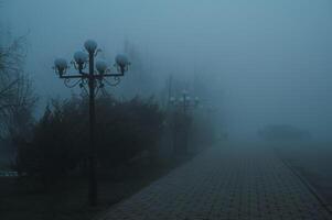 foggy alley with lanterns in the park with fog mist in morning in autumn photo