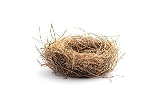 A bird's nest made of twigs, isolated on a white background. photo