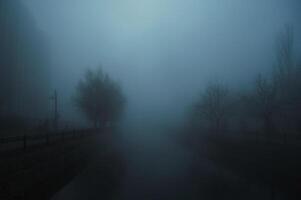foggy landscape with a river and trees on an alley in the city on an autumn evening in fog mist photo