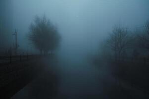 foggy landscape with a river and trees on an alley in the city on an autumn evening in fog mist photo