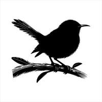 Nice Pan kauri Bird art silhouette on white background vector