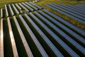 Aerial shot of solar farm on field on sunny day photo