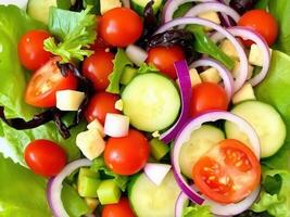 Fresh Garden Salad photo