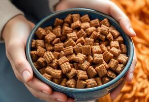 Bowl of Breakfast Cereal photo