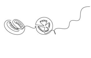 A continuous line drawing of a tomato vector