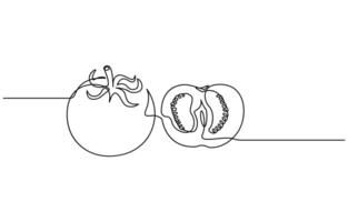 fresh tomato fruit vegetable in Continuous one line drawing vector