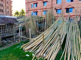 Packed strips of bamboo on display for selling purposes tropical vermin polymer photo