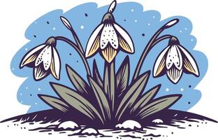 Snowdrop flowers blooming in a garden during early spring vector