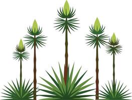 illustration of a group of tall green plants with pointed leaves vector
