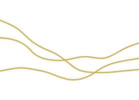 Luxurious gold chain with charm isolated on white vector