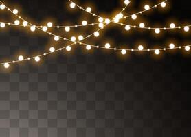 Realistic Christmas lights for holiday web and print design vector