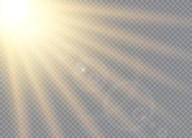 Solar flare with Intense light rays vector