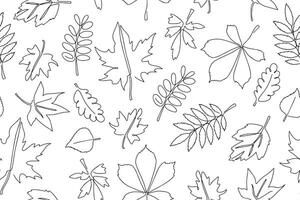 seamless background of autumn leaves in doodle style. Background of hand drawn vector