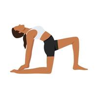 Young woman doing Camel Pose Variation One Leg In Front or Ustrasana Variation One Leg In Front. vector