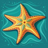 Starfish illustration with background vector
