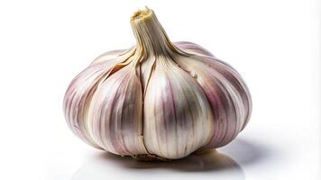 A garlic bulb on a white background photo