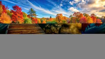serene, trees, close-up, leafy, Panoramic view of a picturesque autumn landscape featuring a wooden path surrounded by colorful fall foliage and trees reflecting in a calm waterbody photo