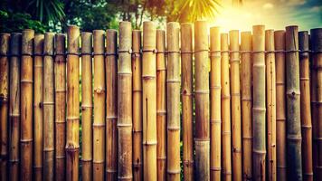 peaceful, texture, picture style, rustic, stock photo,bamboo fence, garden, outdoors, A vintage style low angle photograph of a bamboo fence setting with a captivating background photo