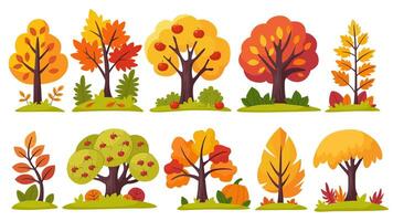 Autumn trees and bushes collection. Forest and park trees and plants on white background. vector