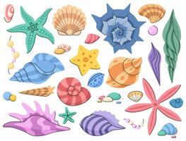 Seashells cartoon collection. Multicolored mollusks and starfish on a white background. Marine elements on a white background. vector