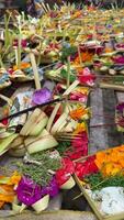 Close-up of Canang Sari, small offering baskets at a temple in Ubud, Bali video