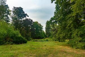 large open field with trees in the background photo