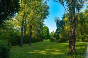 park with a large open field and trees photo