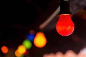 red light bulb is the center of a colorful string of lights photo