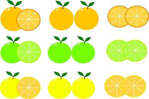 Design concept for orange fruit using green and orange hues, emphasizing vibrant visuals and clear utility in illustrations, icons, and branding materials vector