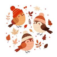 Birds. A set of birds in autumn hats. Set of decorative autumn leaves and twigs. Autumn forest birds. Flat style illustrations on white background. vector