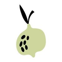 Ripe abstract lime. Lime hand drawn. Stylised citrus fruit. Abstract elements for backgrounds, textiles, posters, postcards, packaging and more. vector