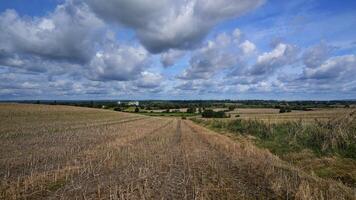 A cropfield after harvesting in the end of summer photo