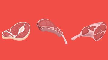 three different types of meat on a red background vector