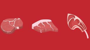 three different types of meat on a red background vector