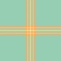 Doodle fabric seamless , panel textile texture check. Softness background pattern plaid tartan in light and orange colors. vector