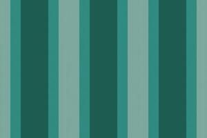 Vertical lines stripe background. stripes pattern seamless fabric texture. Geometric striped line abstract design. vector