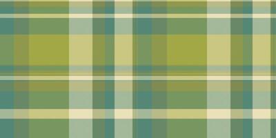 France check plaid tartan, book fabric seamless pattern. Micro texture textile background in lime and mint colors. vector