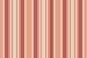 Factory vertical fabric, indian textile seamless stripe. Perfect pattern background lines texture in light and red colors. vector