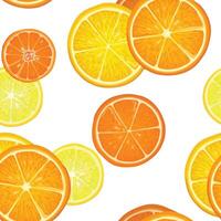 Fruits citrus pattern. Fresh slice orange, lemon, lime, grapefruit, mandarin peices over white background. Seamless texture. Colourful dessert food. vector