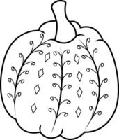 Calabaza Squash Pumpkin Outline Drawing vector