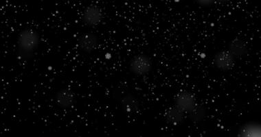 Snow falling. Snowflakes slowly flying down on transparent background. Seamlessly looped overlay with alpha channel video