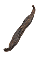 Dried vanilla pod displayed on a white background, cut out transparent png