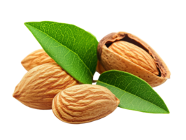 Fresh almonds with leaves and a nutshell displayed, cut out transparent png