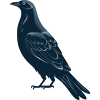 A black crow standing on a black background png