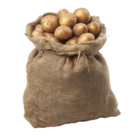Freshly harvested potatoes in a burlap sack, cut out transparent png