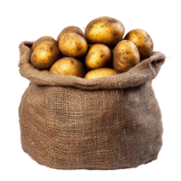 Freshly harvested potatoes in a burlap sack, cut out transparent png