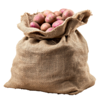 Burlap sack filled with fresh potatoes on display, cut out transparent png