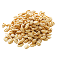 Pile of raw peanuts on a white background, cut out transparent png