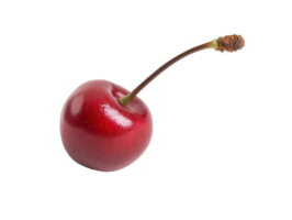 Fresh red cherry with a long green stem on display, cut out transparent png